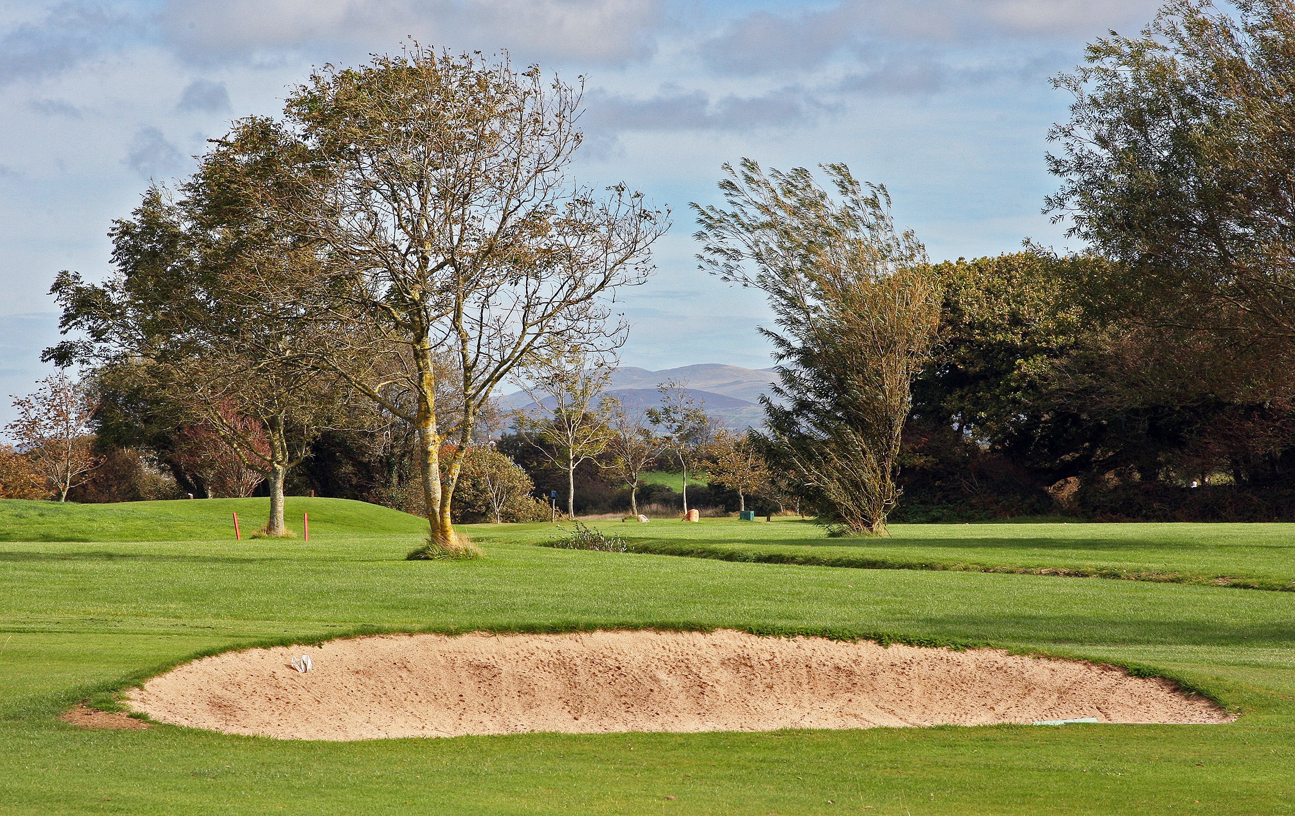 view of golf course