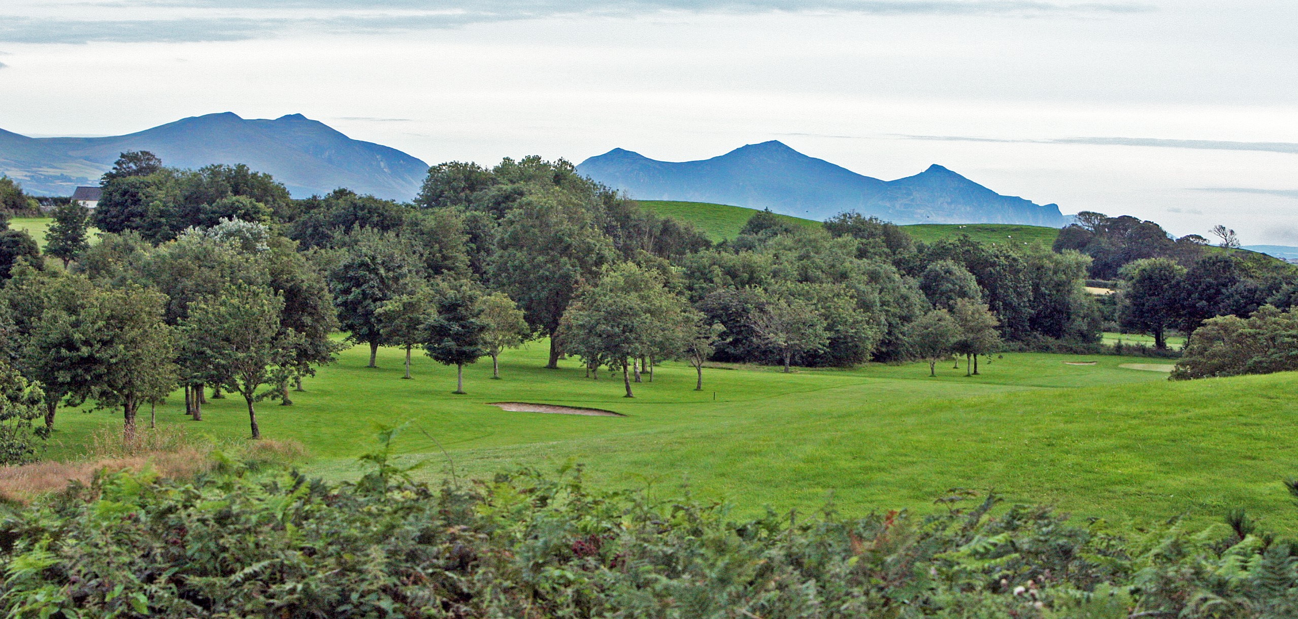 view of golf course