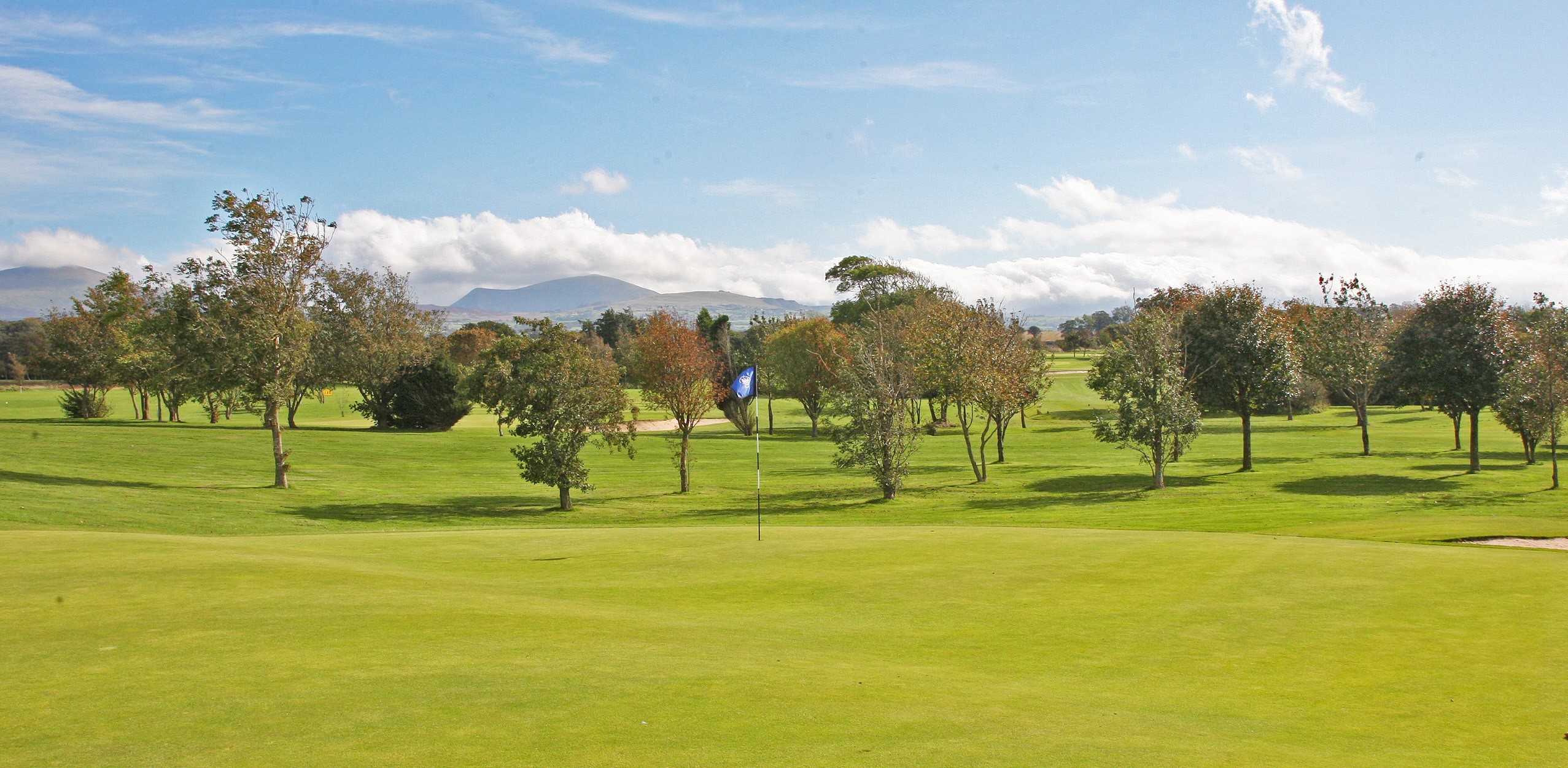 view of golf course