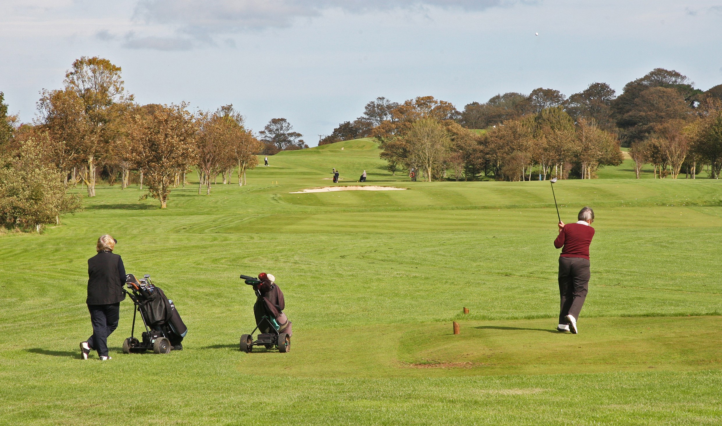 view of golf course