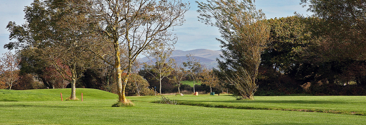 view of golf course with trees