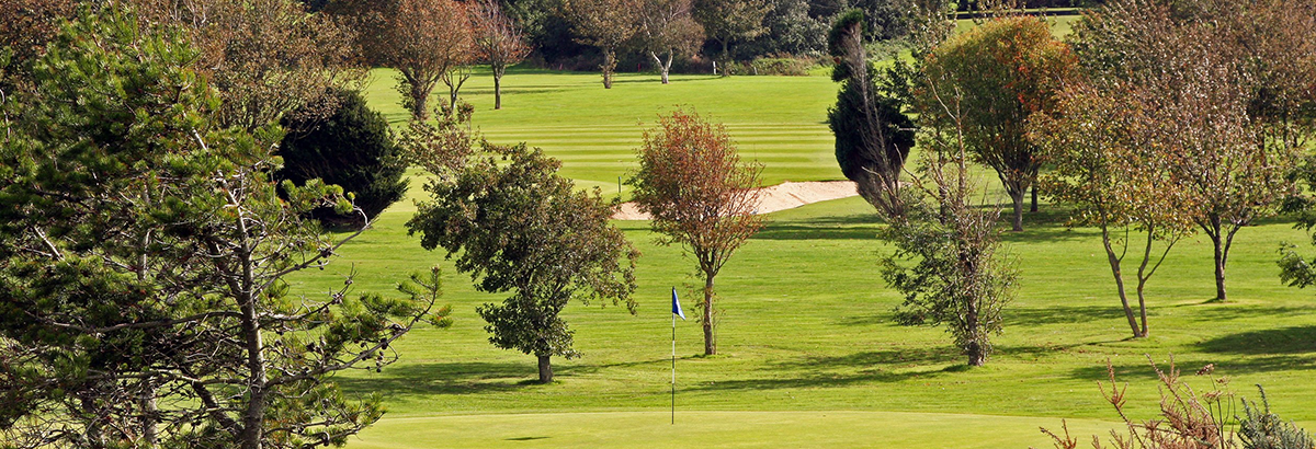 golf course with trees