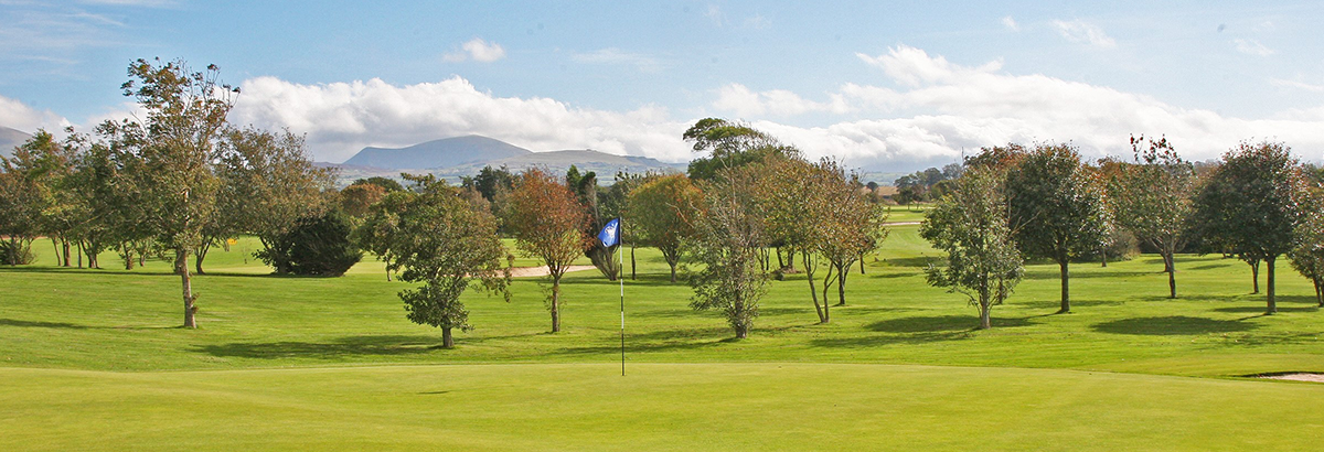 golf course with flag on course hole